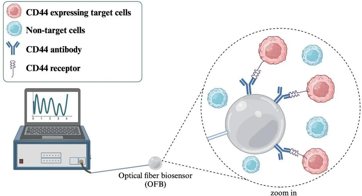 Diagram: CD44 antibodies on the sphere capture CD44-expressing cancer cells