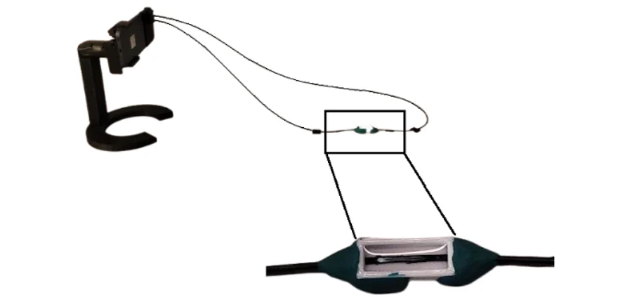 Smartphone in a 3D-printed holder connected by plastic optical fiber to the D-shaped fiber sensor in a sample cuvette, shown enlarged