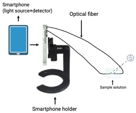 Diagram of the all-fiber system: smartphone in a holder, optical fiber looping to the sample solution