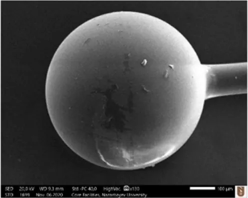 Electron micrograph of the BACKEER ball resonator: a glass sphere formed on the tip of an optical fiber